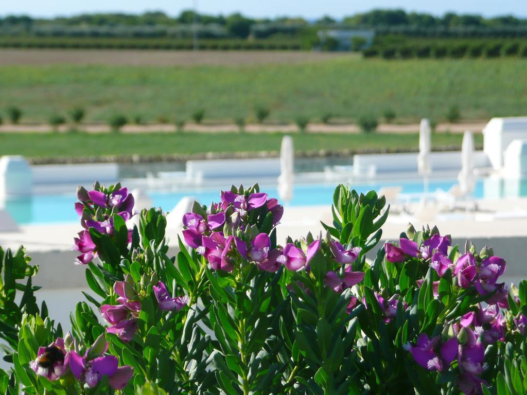 Masseria Bagnara Resort & Spa 마리나 디 리차노 외부 사진
