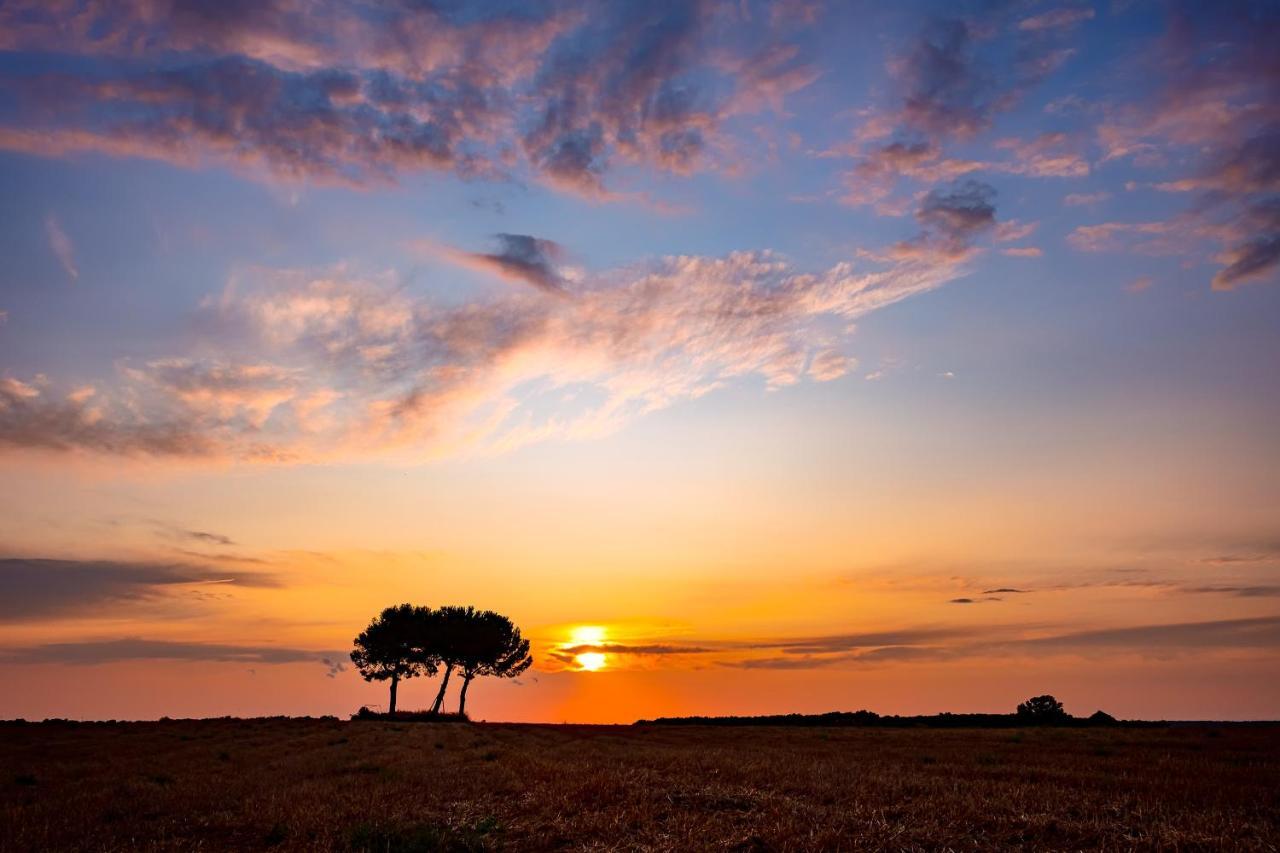 Masseria Bagnara Resort & Spa 마리나 디 리차노 외부 사진